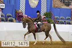 14r12_1475 proof