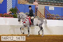 14r12_1478 proof