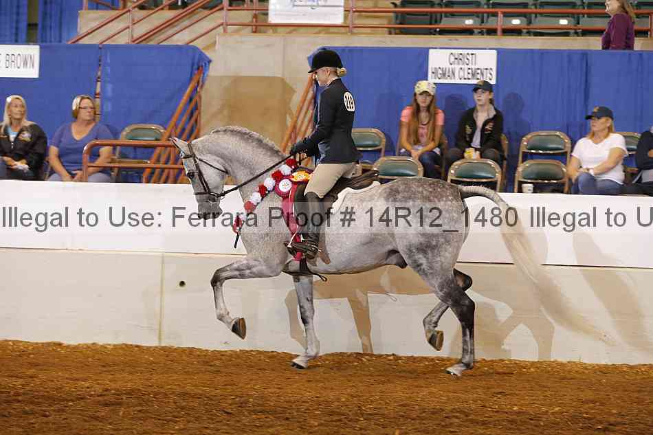 Proof 14r12_1480