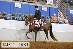 14r12_1481 proof