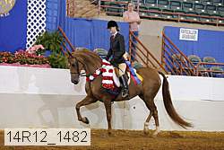 14r12_1482 proof