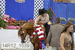 14r12_1539 proof