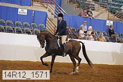 14r12_1571 proof