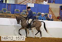 14r12_1572 proof