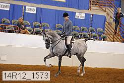 14r12_1573 proof