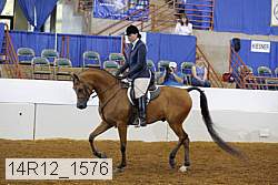 14r12_1576 proof
