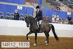14r12_1578 proof