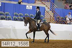 14r12_1586 proof