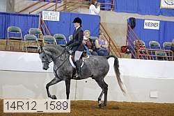 14r12_1589 proof