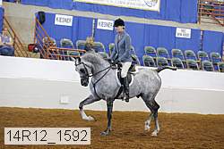 14r12_1592 proof