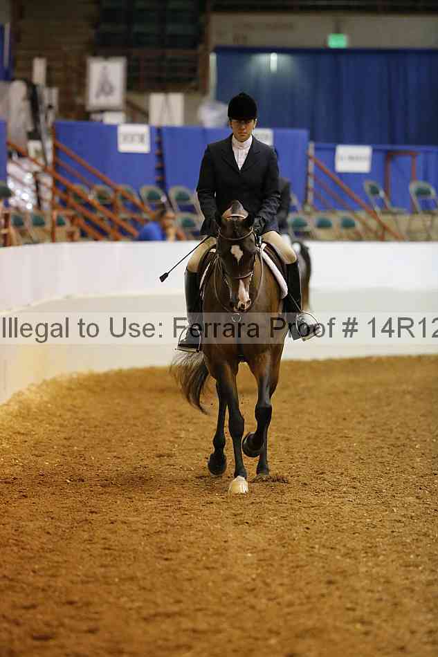 Proof 14r12_1599