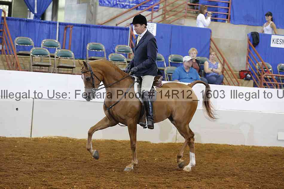 Proof 14r12_1603
