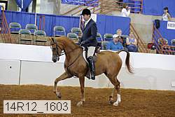 14r12_1603 proof