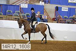 14r12_1608 proof