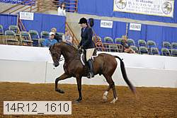 14r12_1610 proof