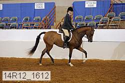 14r12_1612 proof