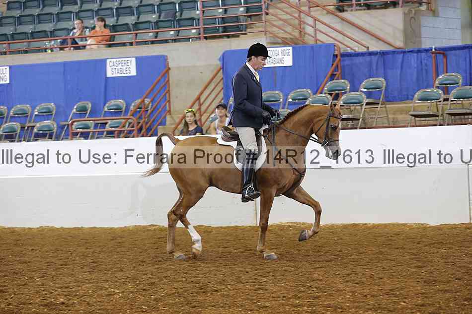 Proof 14r12_1613
