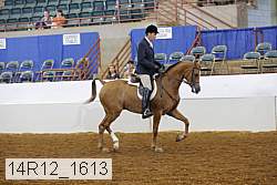 14r12_1613 proof