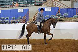 14r12_1616 proof