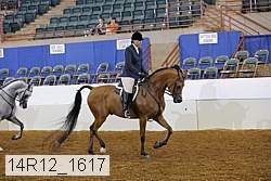 14r12_1617 proof