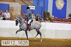 14r12_1626 proof