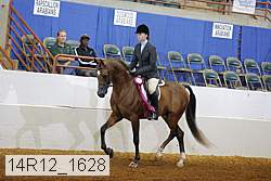 14r12_1628 proof