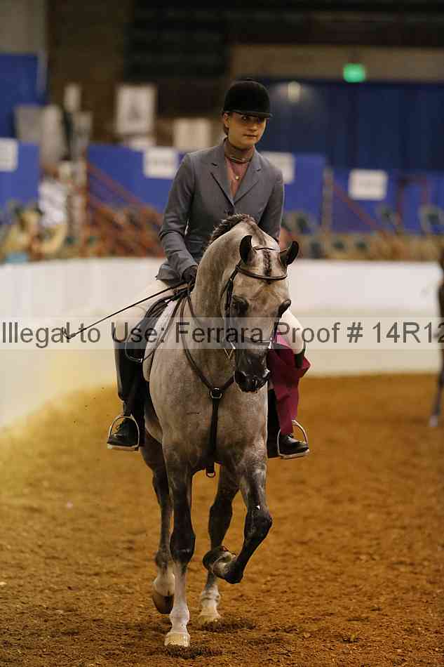 Proof 14r12_1631