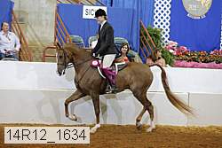 14r12_1634 proof