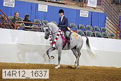 14r12_1637 proof