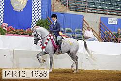 14r12_1638 proof