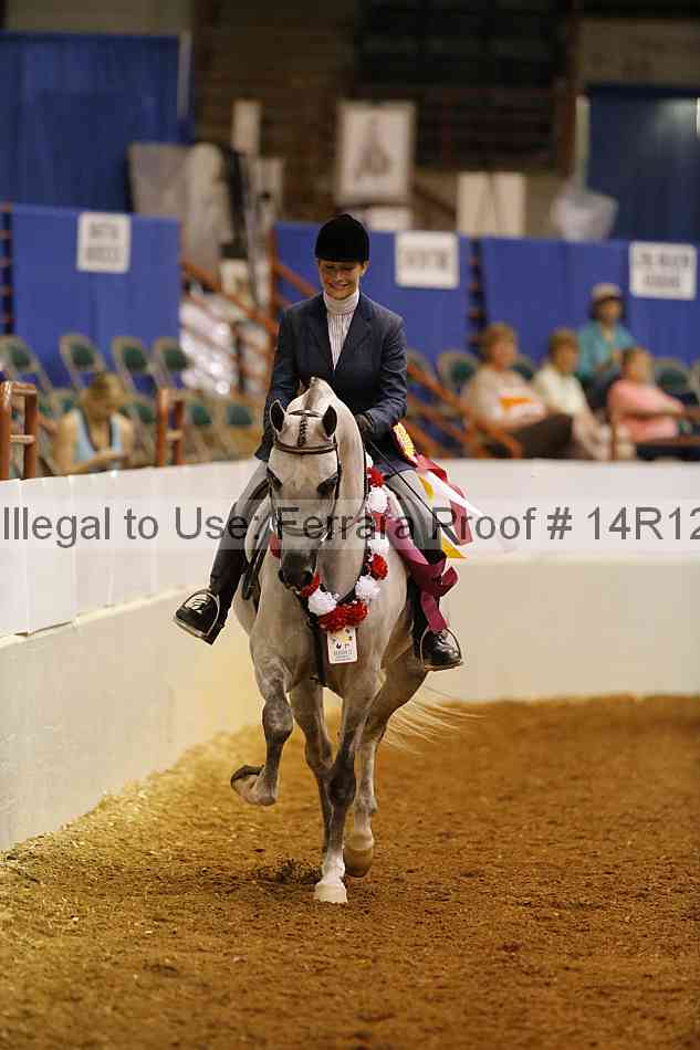 Proof 14r12_1641