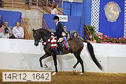 14r12_1642 proof