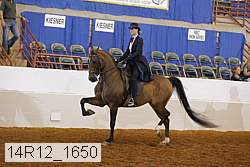 14r12_1650 proof