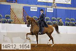14r12_1654 proof