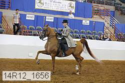 14r12_1656 proof