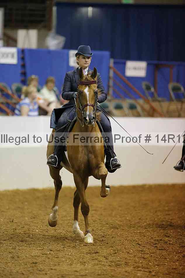 Proof 14r12_1663