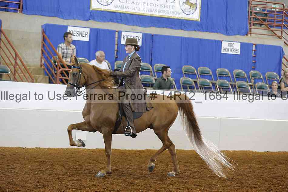 Proof 14r12_1664