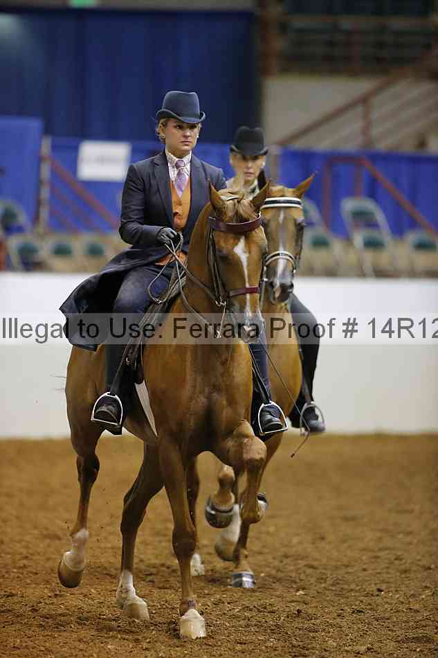 Proof 14r12_1665