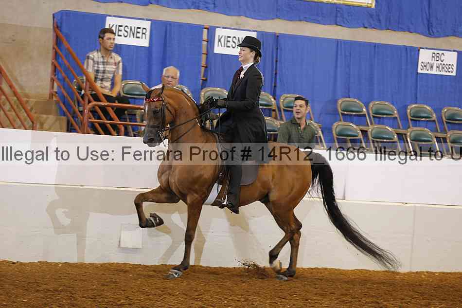 Proof 14r12_1666