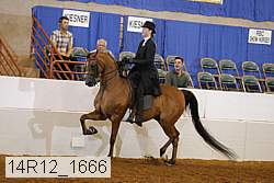 14r12_1666 proof