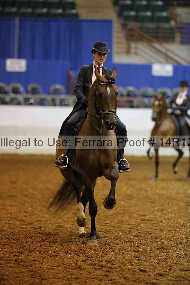 Proof 14r12_1667