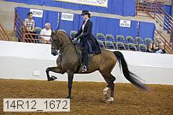14r12_1672 proof