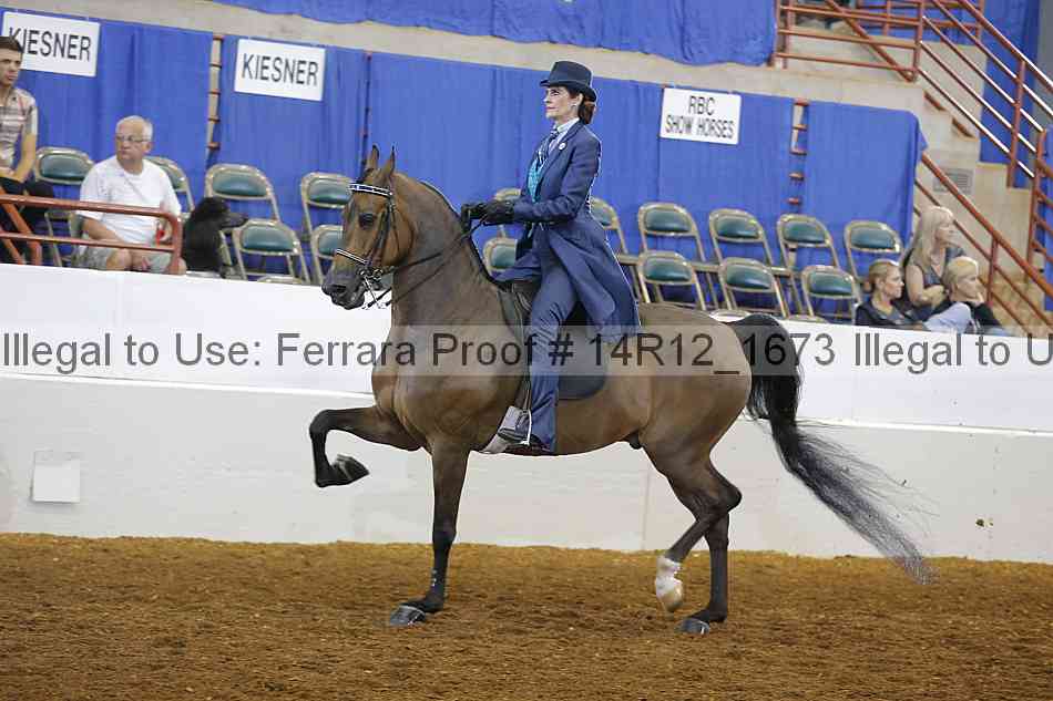 Proof 14r12_1673