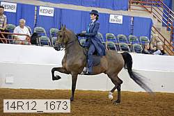 14r12_1673 proof