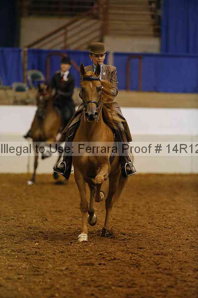 Proof 14r12_1675