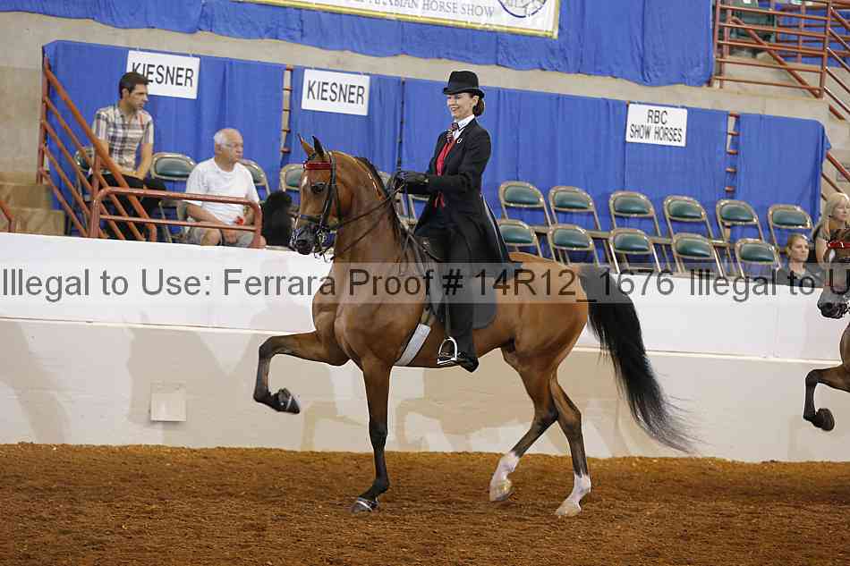 Proof 14r12_1676