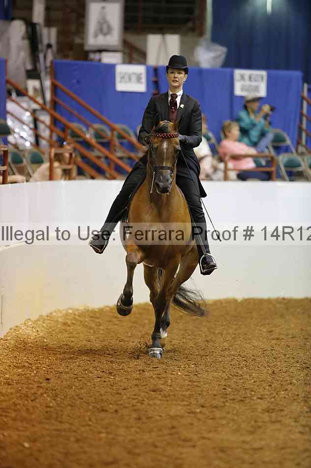 Proof 14r12_1677