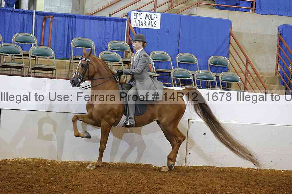 Proof 14r12_1678