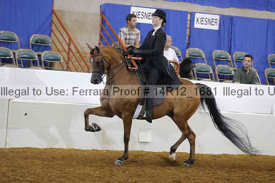 Proof 14r12_1681