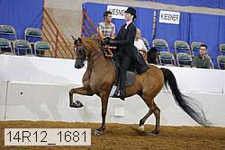 14r12_1681 proof